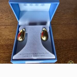 Gold Metal Waterproof Earrings NWT